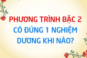 Phương trình bậc 2 có đúng 1 nghiệm dương khi nào? Điều kiện PT bậc 2 có đúng 1 nghiệm dương - Toán lớp 10